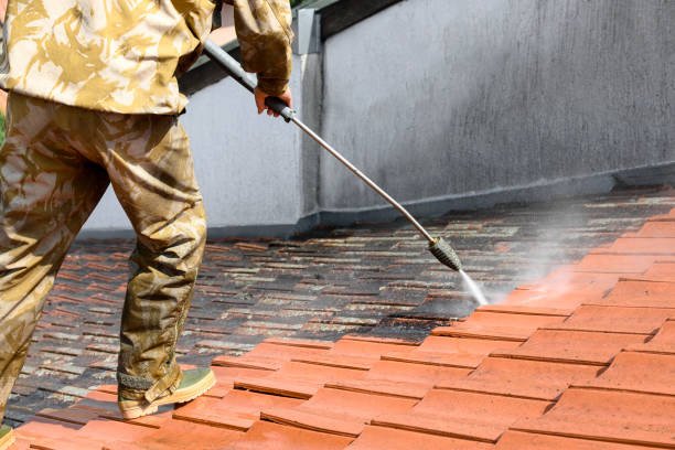 Roof Washing