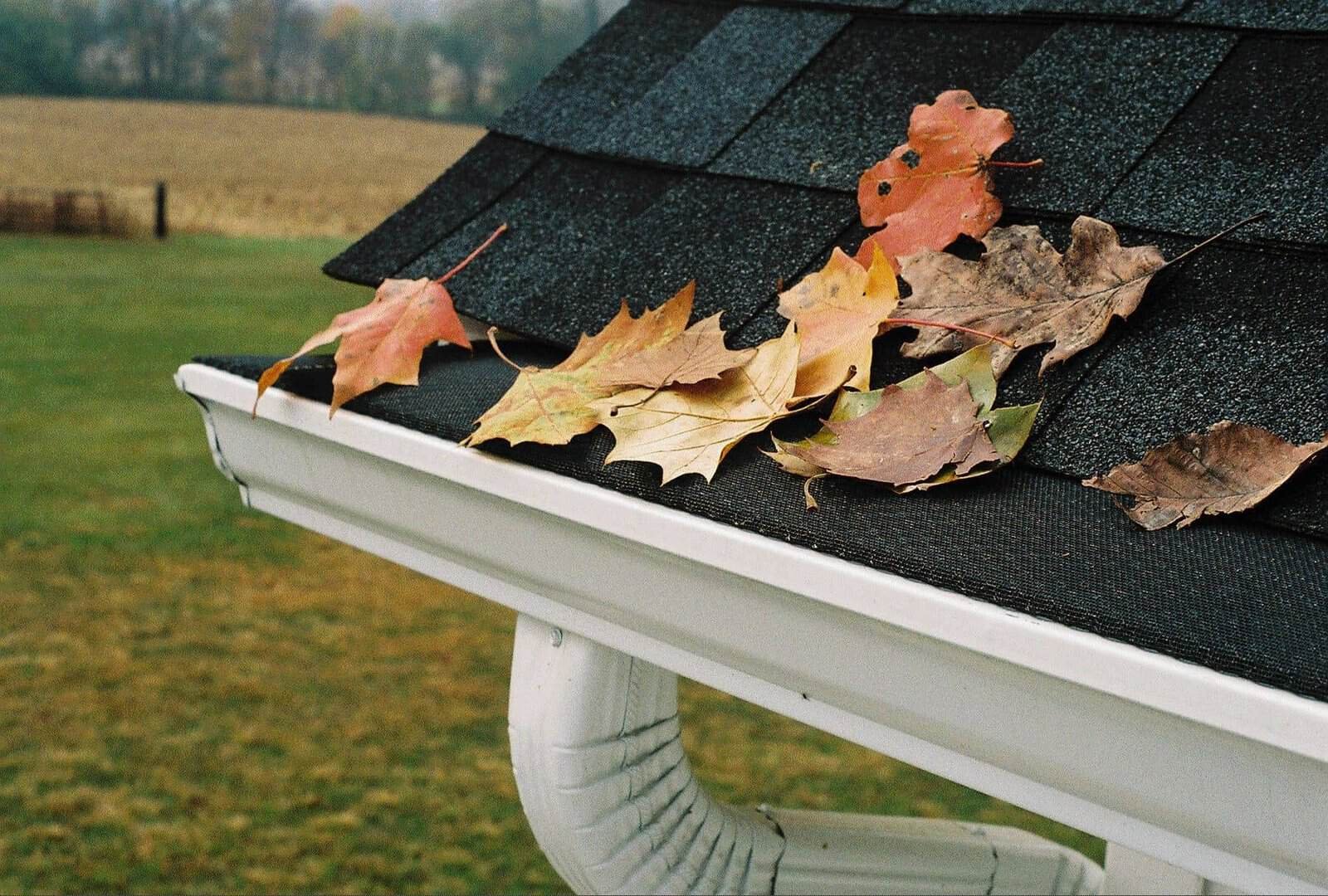 Gutter Protection